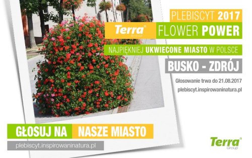 busko_terra_flower.jpg